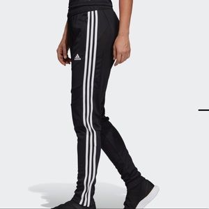 Adidas Tiro 19 Training Pants